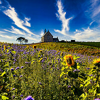 Buy canvas prints of Sunflowers and Flax,Boarhills Church by Andrew Beveridge