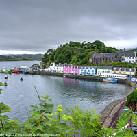 Buy canvas prints of Portree Harbour by Rob Hawkins