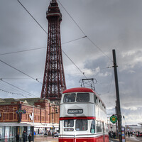 Buy canvas prints of Blackpool  Tram & Tower  by Rob Hawkins