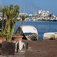 Buy canvas prints of Cactus and Boats  by Rob Hawkins