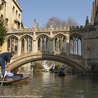 Buy canvas prints of Cambridge Bridge of Sighs  by Rob Hawkins