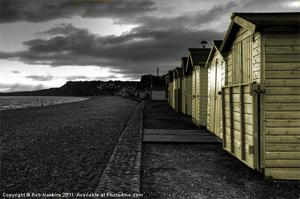 Beach Huts at Budleigh Picture Board by Rob Hawkins