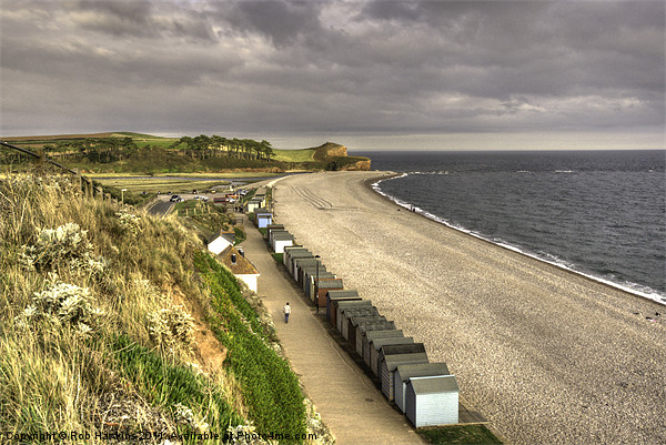 The Beach at Budleigh Picture Board by Rob Hawkins