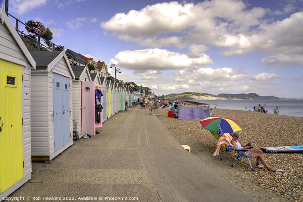 Lyme Regs Beach huts  Picture Board by Rob Hawkins
