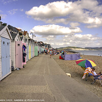 Buy canvas prints of Lyme Regs Beach huts  by Rob Hawkins