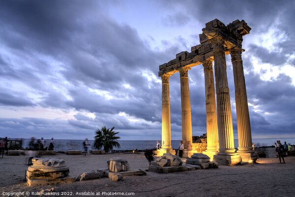 Temple of Apollo at dusk Picture Board by Rob Hawkins