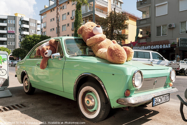 Bear Car Picture Board by Rob Hawkins