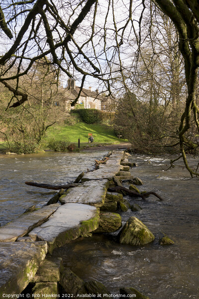 Tarr Steps at winter Picture Board by Rob Hawkins