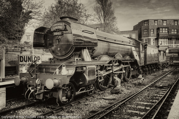 Scotsman at Swanage Picture Board by Rob Hawkins