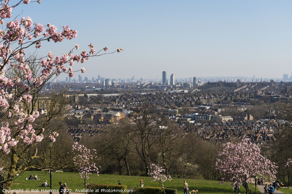 London sakura cityscape Picture Board by Rob Hawkins