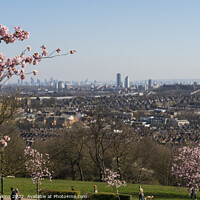 Buy canvas prints of London sakura cityscape by Rob Hawkins