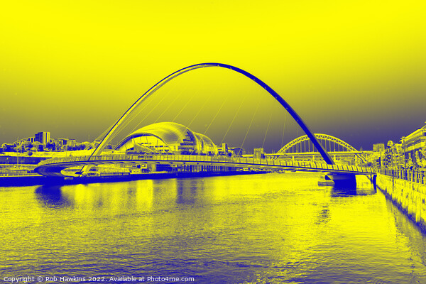 Yellow Tyne  Picture Board by Rob Hawkins