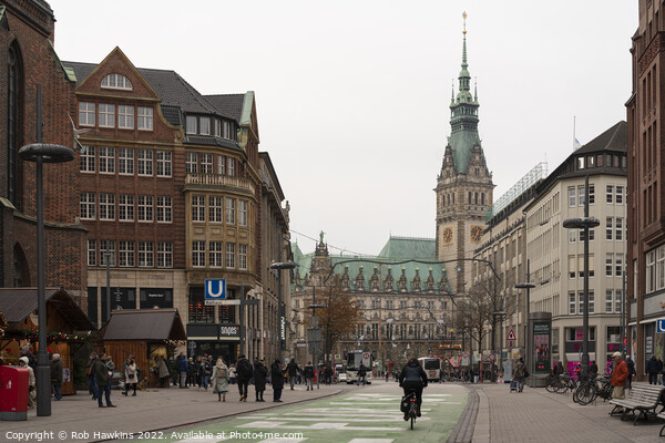 Hamburg Rathaus Cityscape Picture Board by Rob Hawkins