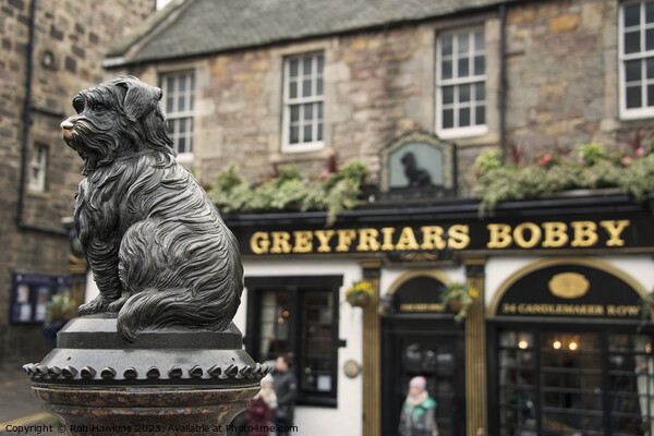 Greyfriars Bobby Picture Board by Rob Hawkins