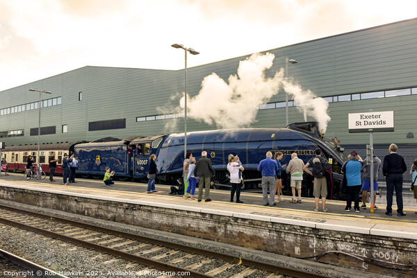 Sir Nige at Exeter St Davids  Picture Board by Rob Hawkins