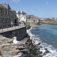 Buy canvas prints of St Ives seagull seascape  by Rob Hawkins