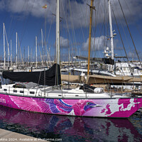 Buy canvas prints of Rubicon Marina pink boat by Rob Hawkins