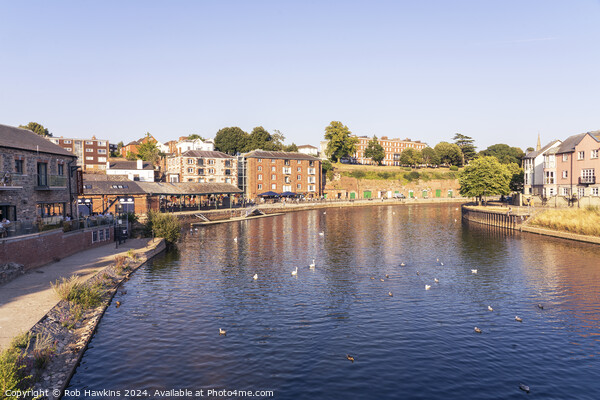 Summer at Exeter Quay Picture Board by Rob Hawkins
