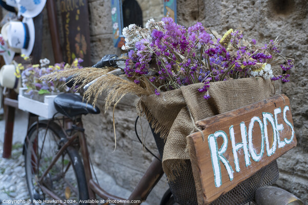 Rhodes Floral bike Picture Board by Rob Hawkins