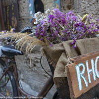 Buy canvas prints of Rhodes Floral bike by Rob Hawkins