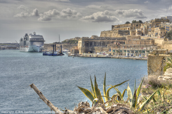 Valletta Harbour cruise  Picture Board by Rob Hawkins