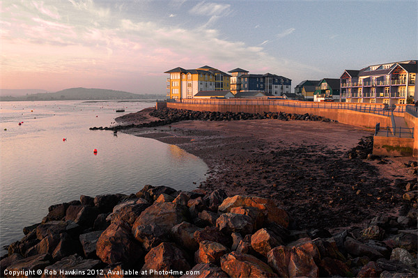 Waterside at Exmouth Picture Board by Rob Hawkins