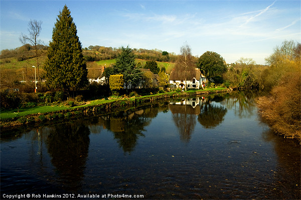 The River Exe at Bickleigh Picture Board by Rob Hawkins
