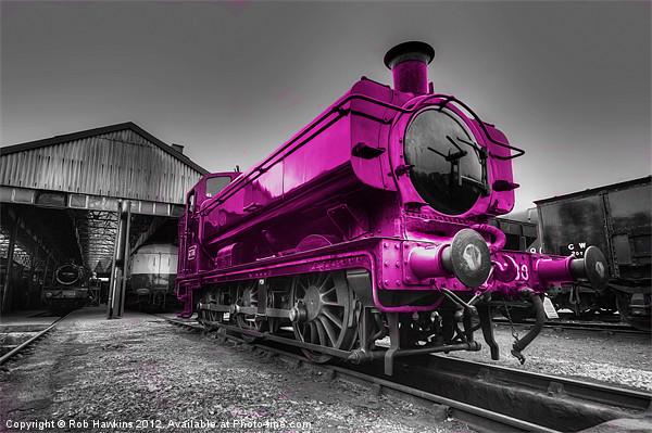 The Pink Pannier Picture Board by Rob Hawkins