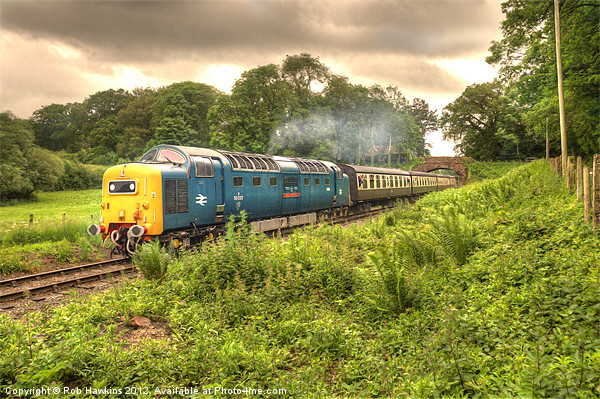 Deltic in Somerset Picture Board by Rob Hawkins