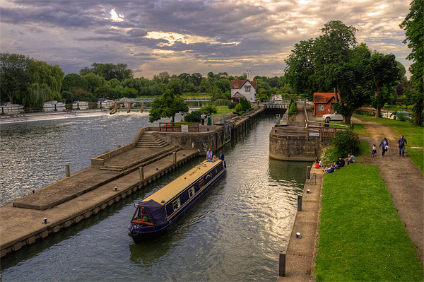 The River Thames at Goring Picture Board by Rob Hawkins