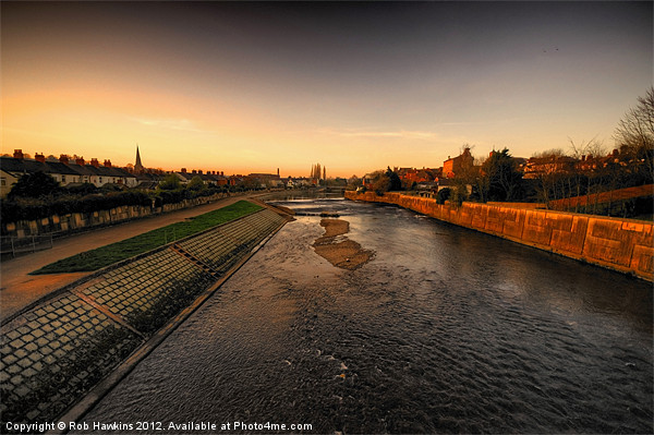 The River Exe at Tiverton Picture Board by Rob Hawkins