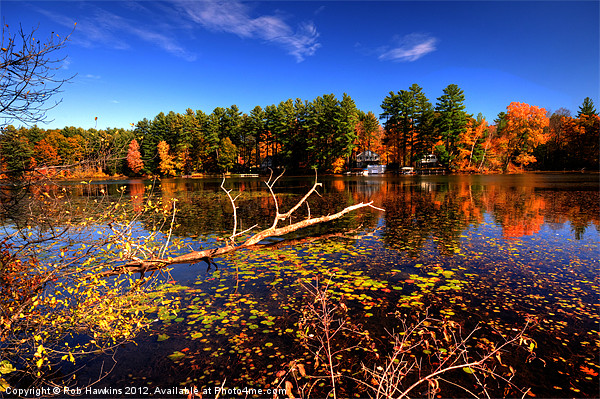 Bomoseen Lake in the Fall Picture Board by Rob Hawkins