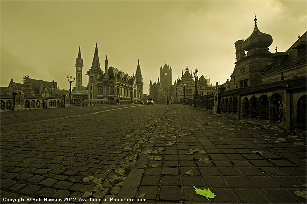 Leaf amongst the towers of Ghent Picture Board by Rob Hawkins