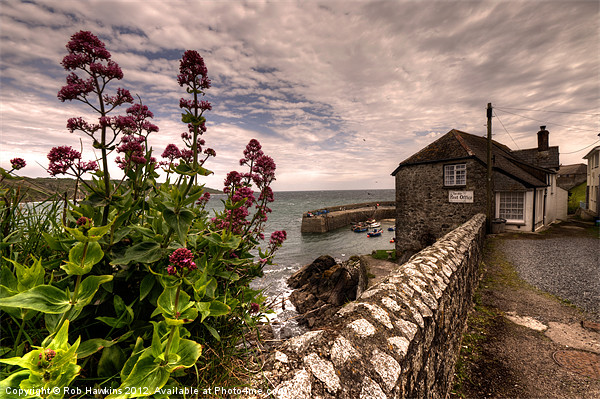 The Harbour at Coverack Picture Board by Rob Hawkins