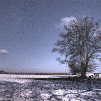 Buy canvas prints of Let it snow by Rob Hawkins