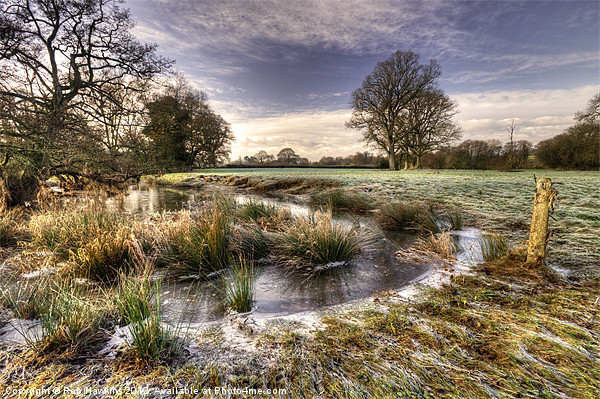 The  Frosty Field Picture Board by Rob Hawkins