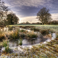 Buy canvas prints of The  Frosty Field by Rob Hawkins