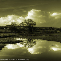 Buy canvas prints of Golden Reflections of the Flood by Rob Hawkins