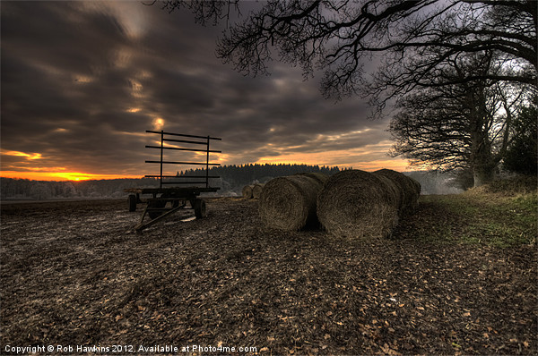 Trailer & the bales at dusk Picture Board by Rob Hawkins