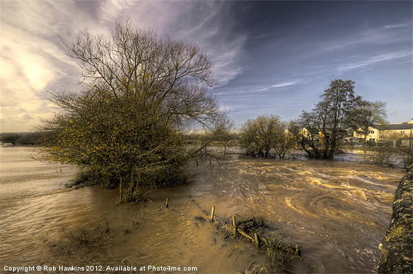 The Floods at Stoke Canon Picture Board by Rob Hawkins