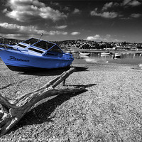 Buy canvas prints of Fortuna and Driftwood by Rob Hawkins