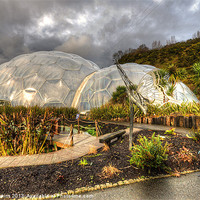 Buy canvas prints of The Mediterranean Biome by Rob Hawkins