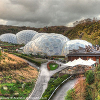 Buy canvas prints of Winter at Eden by Rob Hawkins