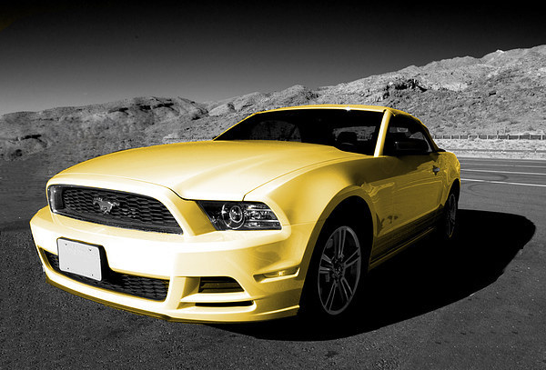 Yellow Mustang Picture Board by Rob Hawkins