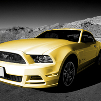 Buy canvas prints of Yellow Mustang by Rob Hawkins