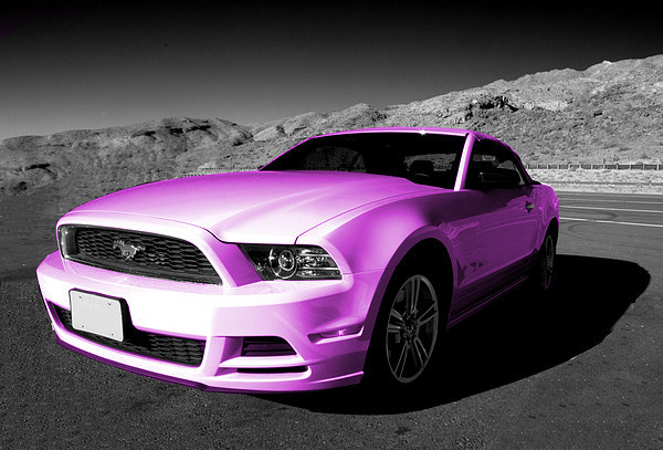 Pink Mustang Picture Board by Rob Hawkins