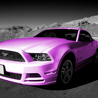 Buy canvas prints of Pink Mustang by Rob Hawkins