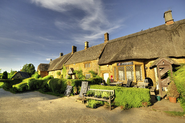 Thatched Cottages at Great Tew Picture Board by Rob Hawkins