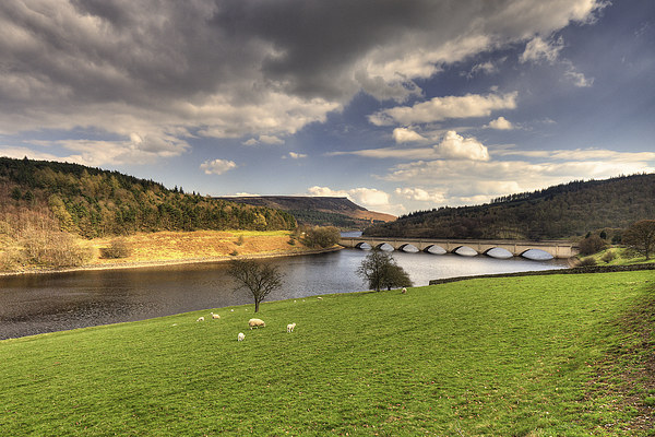 Ladybower Reservoir Picture Board by Rob Hawkins