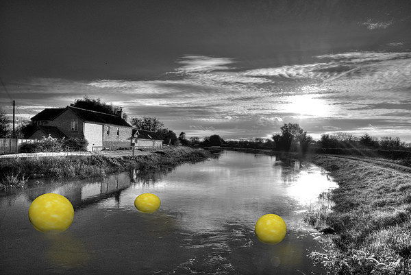 Balls of Athelney Picture Board by Rob Hawkins